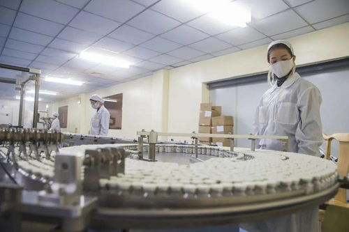 沙坪壩 智能產業規模突破1500億元